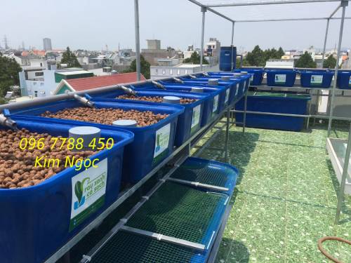 thùng nhựa nuôi cá, thùng chữ nhật giá rẻ, thùng nhựa 1100 lít, thùng nhựa công nghiệp, thùng nhựa 1000 lít,