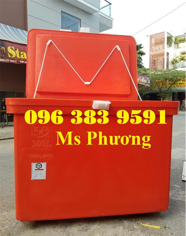 Giá bán: 100,000, Điện thoại: 0963839591, phuocdat.sales03@gmail.com