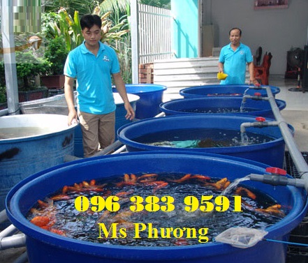 Giá bán: , Điện thoại: 0963839591, phuocdat.sales03@gmail.com