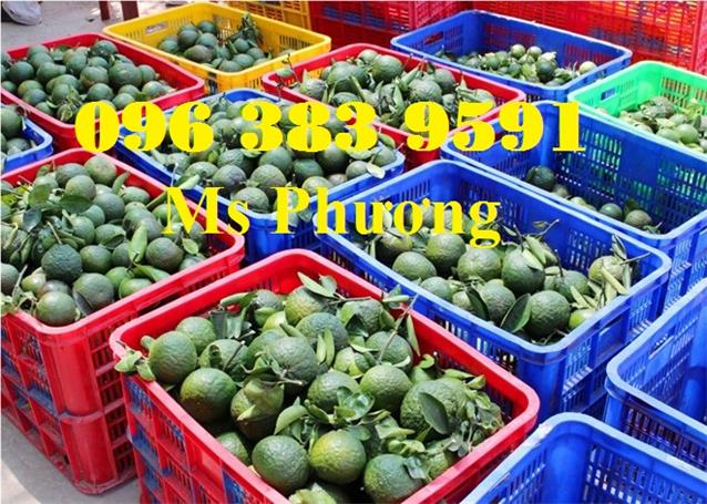 Giá bán: , Điện thoại: 0963839591, phuocdat.sales03@gmail.com