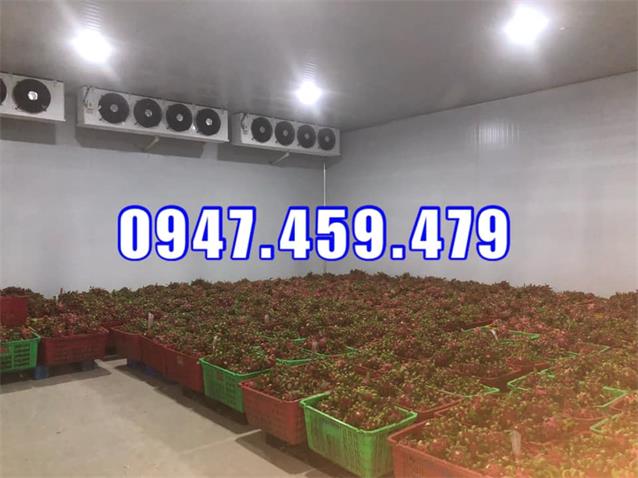 Giá bán: 1,000,000, Điện thoại: 0911219479, lancummaynen@gmail.com
