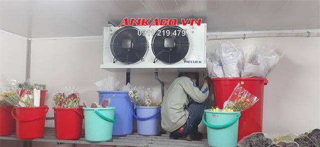 Giá bán: 1,000,000, Điện thoại: 0911219479, lancummaynen@gmail.com